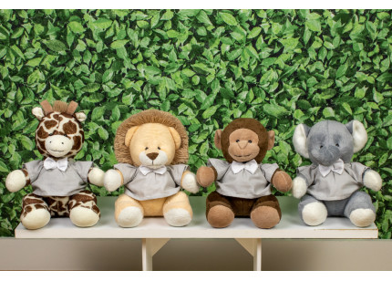 Safári Provence Leão,...