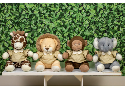 Safári Provence Leão,...