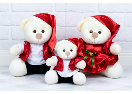 Família Ursos Tedde - Papai...