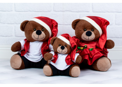 Família Ursos Tedde - Papai...