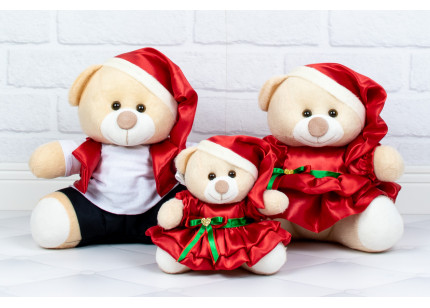 Família Ursos Tedde - Papai...