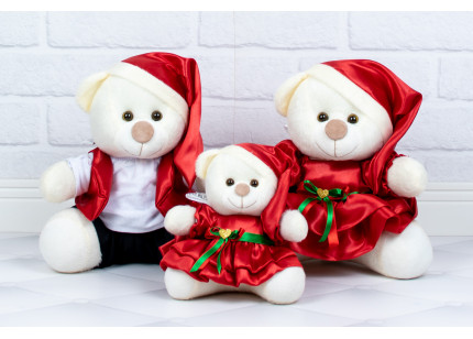 Família Ursos Tedde - Papai...