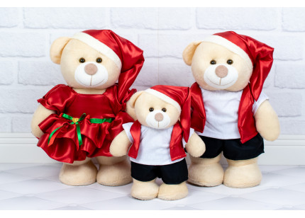 Família Ursos Amore - Papai...