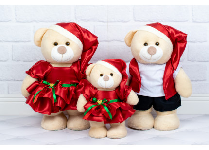 Família Ursos Amore - Papai...