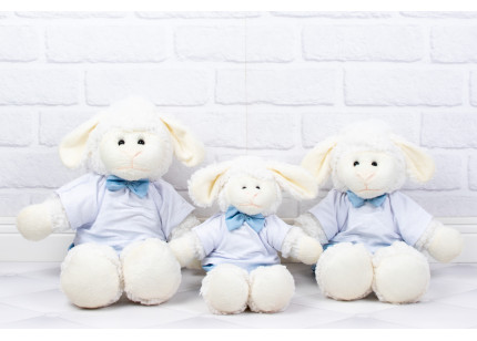 Ovelhas Fufy Shorts e...