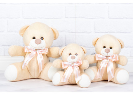 Ursos Tedde Classic Salmão...