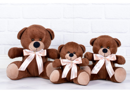 Ursos Tedde Classic Salmão...