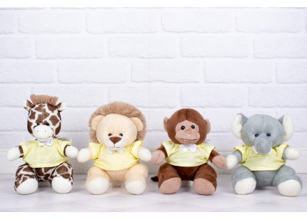 Safári Provence Leão,...