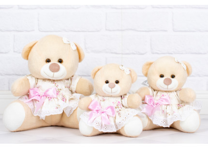 Ursos Tedde Vestido com...