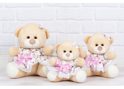 Ursos Tedde Vestido com...
