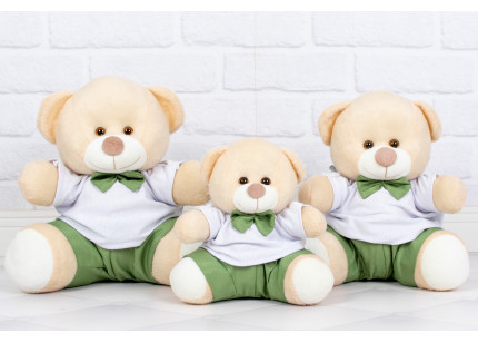 Ursos Tedde Shorts e Camisa...