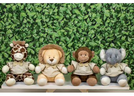 Safári Provence Leão,...