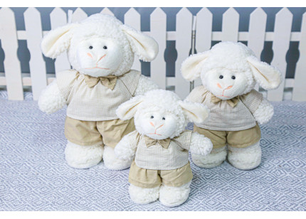 Ovelhas Amore Shorts e...