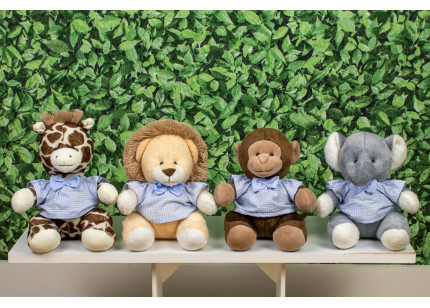 Safári Provence Leão,...