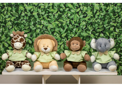 Safári Provence Leão,...